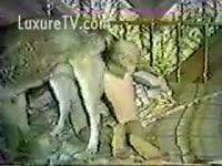 Girl Had animal sex with her Favorite Dog